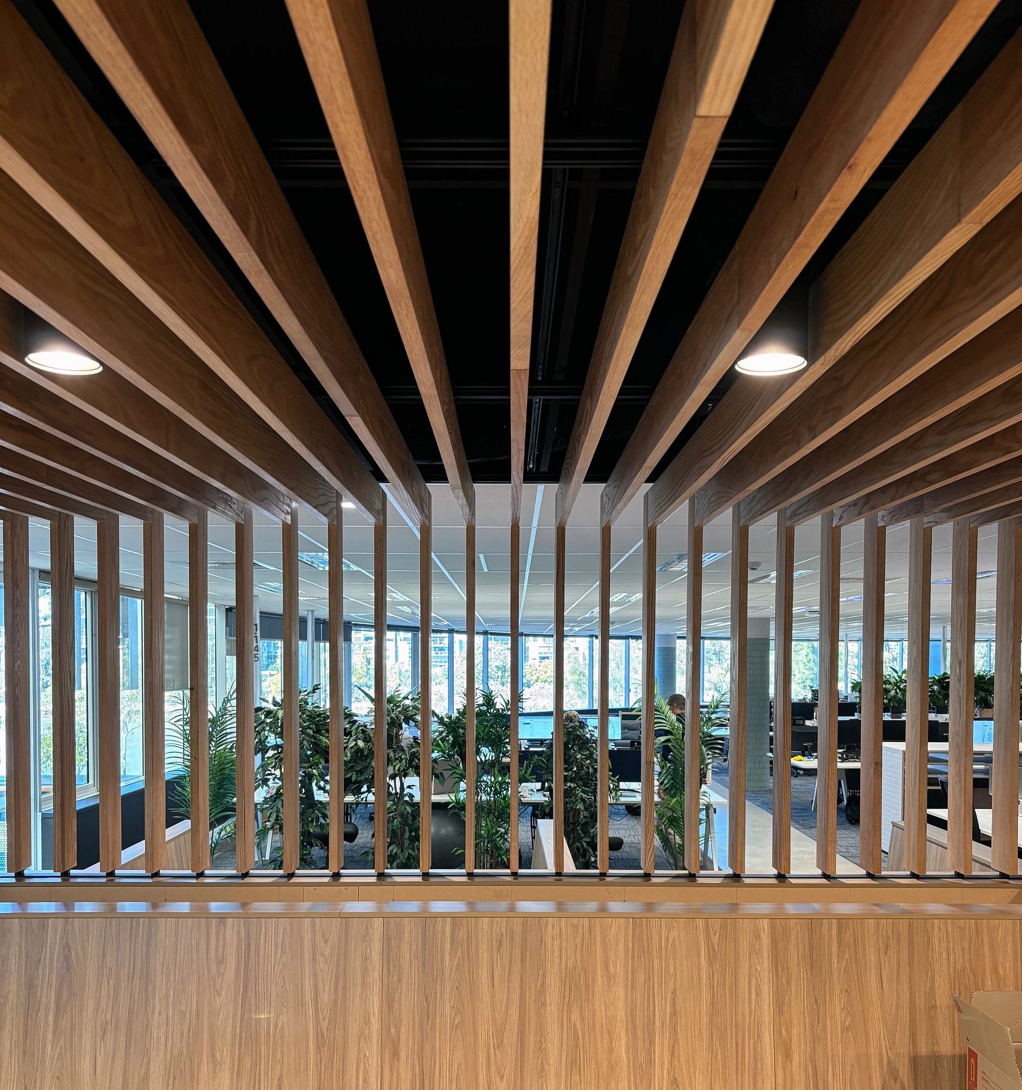 Batten ceiling